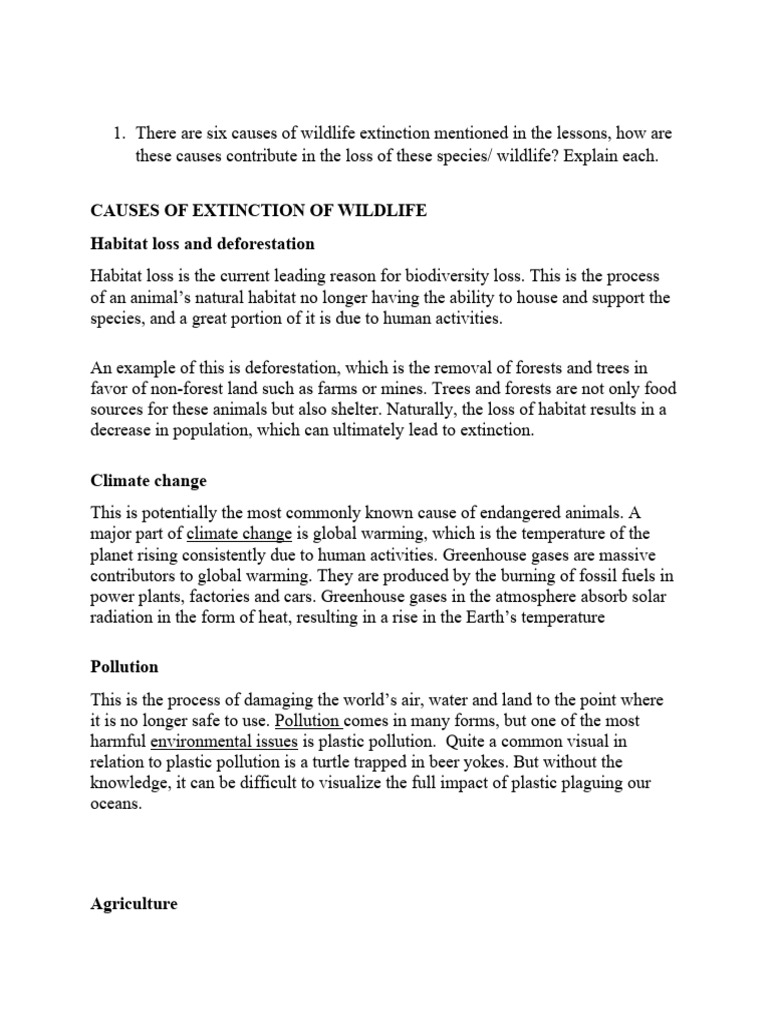 Causes of Wildlife Extinction Explained | PDF | Climate Change | Human ...