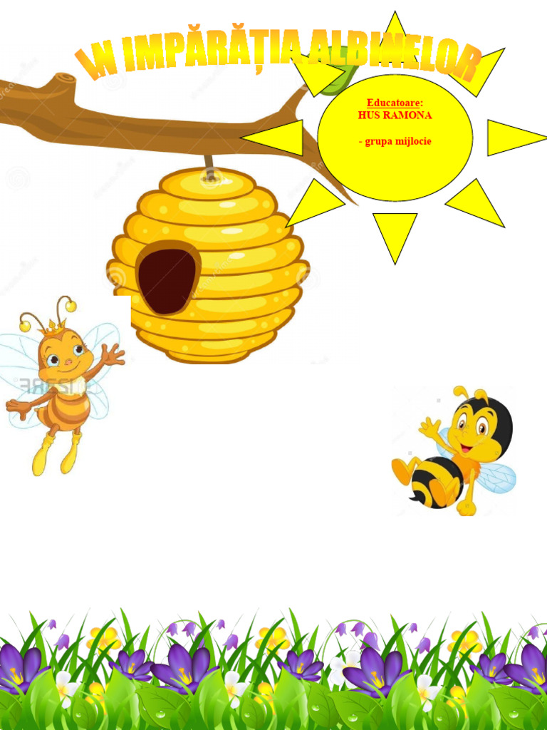 Proiect Insecte GRAD 1 Final | PDF