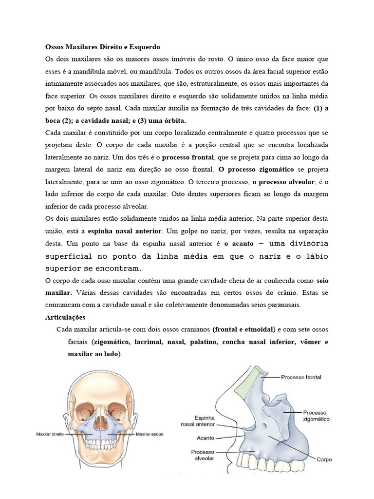 Antomia Do Cranio E Face Pdf Crânio Sistema Esquelético