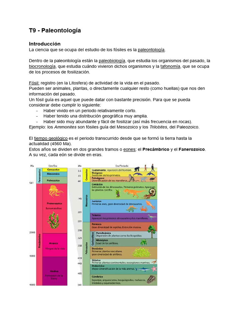 Introducción a la Paleontología y Dinosaurios | PDF | Paleontología ...