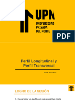 05 - Perfil Longitudinal y Pefil Transversal