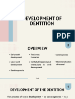 Development of Dentition