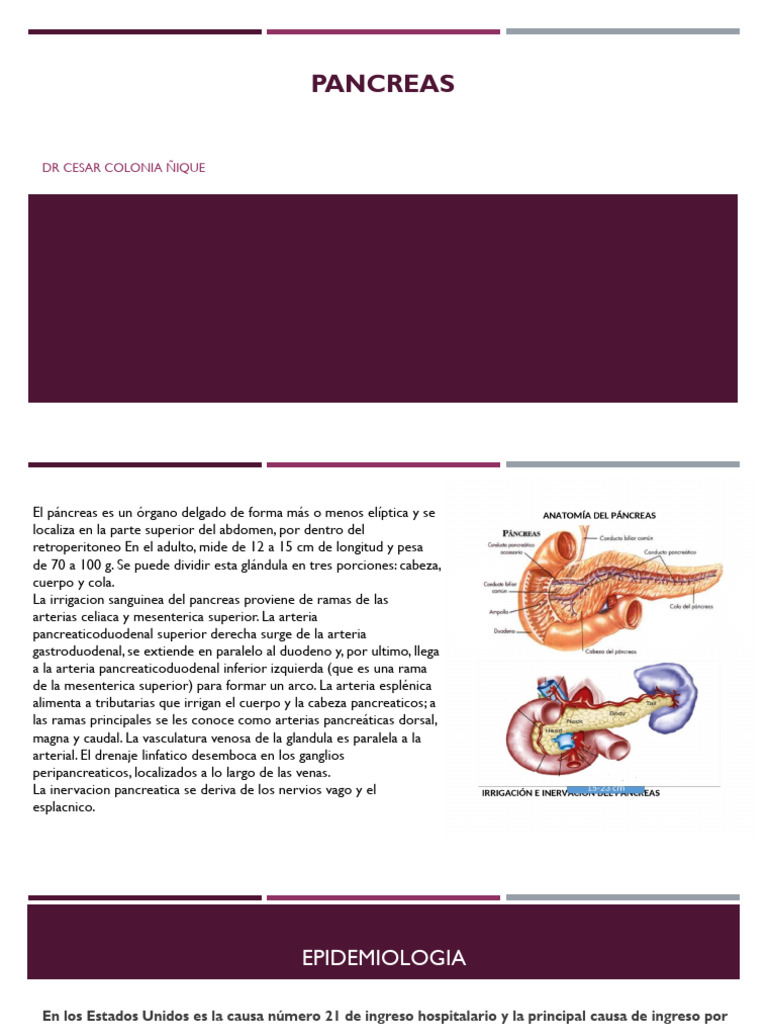 2 Pancreas | PDF | Inflamación | Páncreas