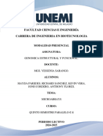 INFORME-GEF