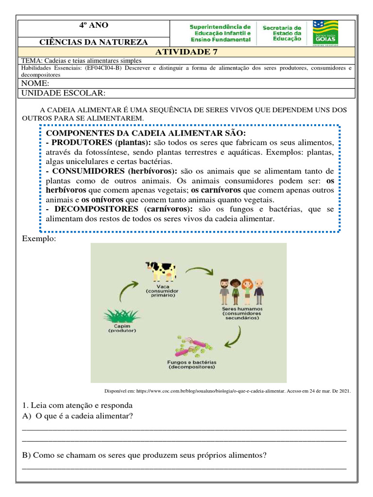 Cadeia Alimentar 4 Ano | Download grátis PDF | Plantas | Herbívoro
