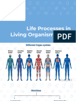 Life Processes in Living Organism