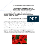 History and Facts of Poinsettia Plants, Euphorbia Pulcherrima