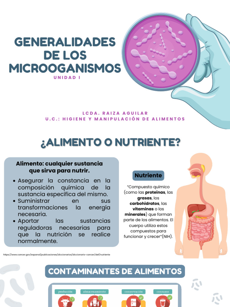 Microorganismos y Contaminación Alimentaria | PDF | Alimentos ...