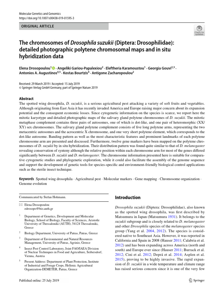 The Chromosomes of Drosophila Suzukii | PDF | Genetics | Biology