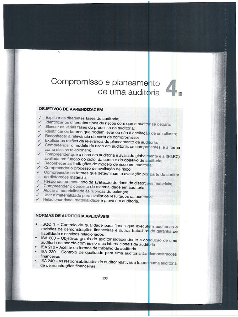 Ficha De Apontamentos Planeamento De Auditoria 120126 Pdf