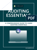 Hermans K. Auditing Essentials. A Comprehensive Guide To Learn... 2023
