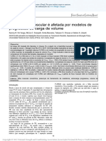 muscle_hypertrophy_is_affected_by_volume_load. traduzido-desbloqueado