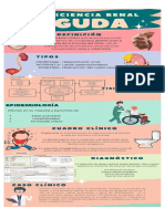 Insuficiencia renal aguda 