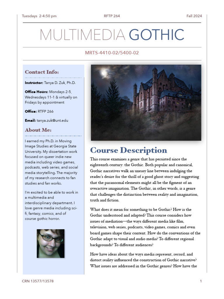 Multmedia Gothic FA 24 | PDF | Multimedia | Libraries