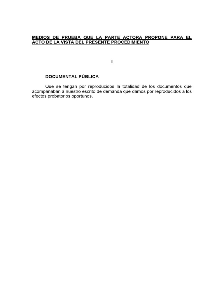 1 - Instructa Audiencia Previa | PDF