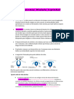 Neuroanatomia