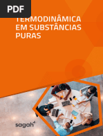 Termodinâmica em Substancias Puras