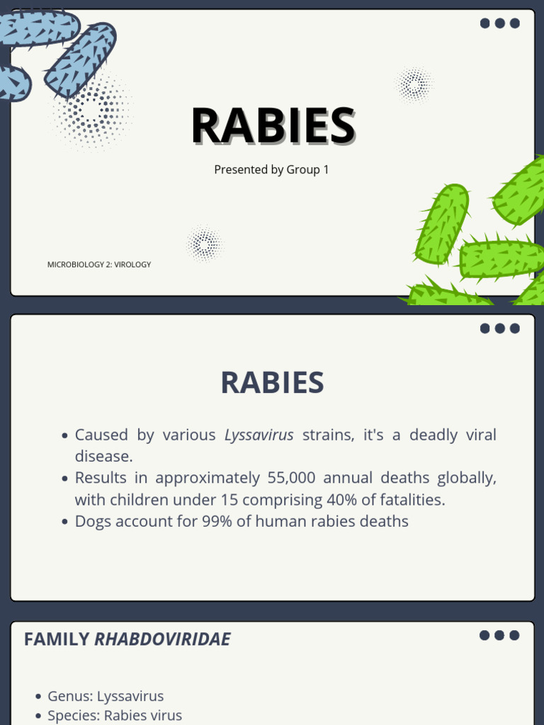 Understanding Rabies: Causes, Symptoms, and Prevention | PDF | Rabies ...