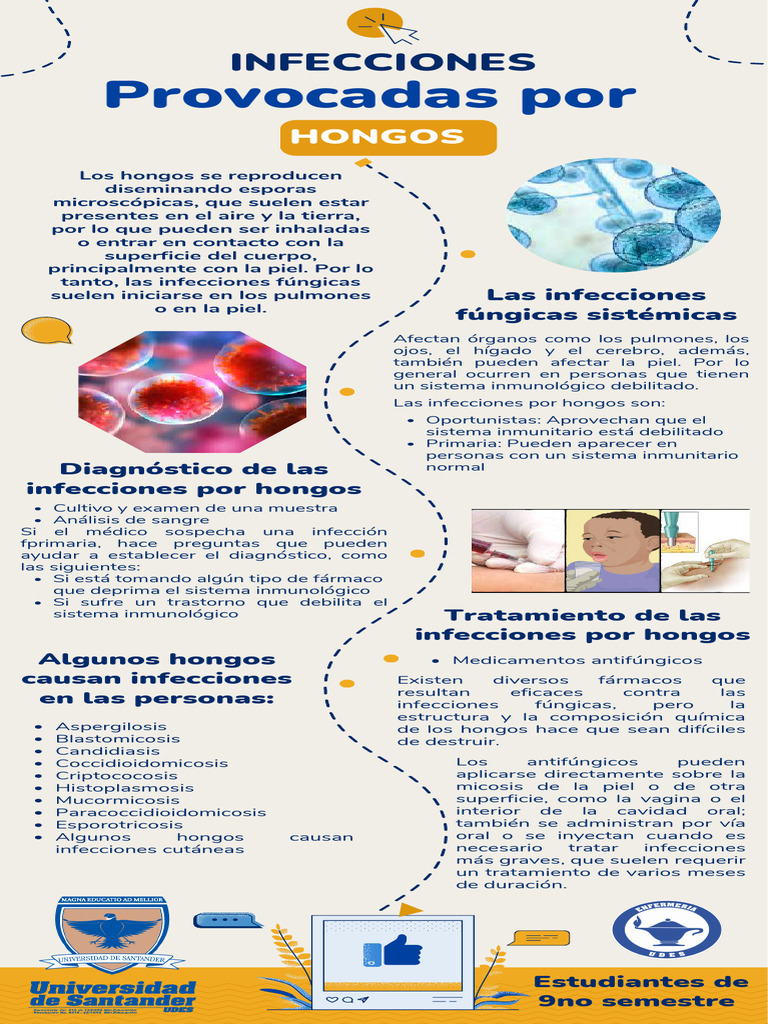 Infecciones por hongos pdf hongo sistema inmune