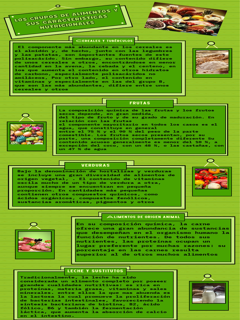 Infografia Informativa Descargar Gratis Pdf Nutrientes Alimentos