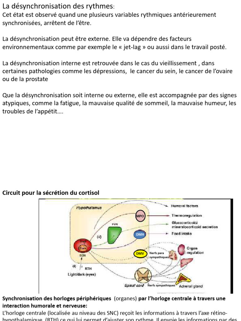 Désynchronisation des rythmes biologiques | PDF | Sommeil | Biologie