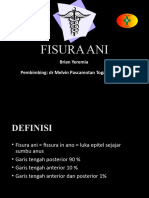 fisura ani