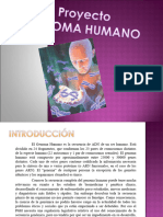 genoma humano1