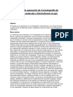 Técnicas de Separación de Cromatografía de Exclusión Molecular y Electroforesis en Gel