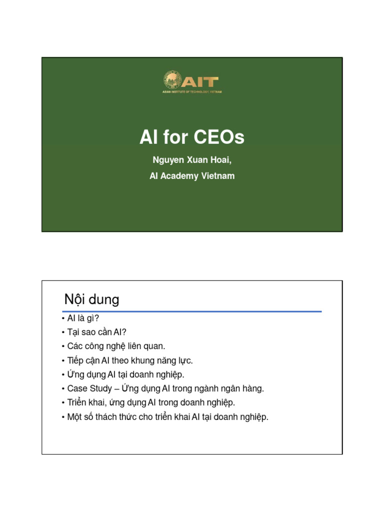 AI For CEOs | PDF