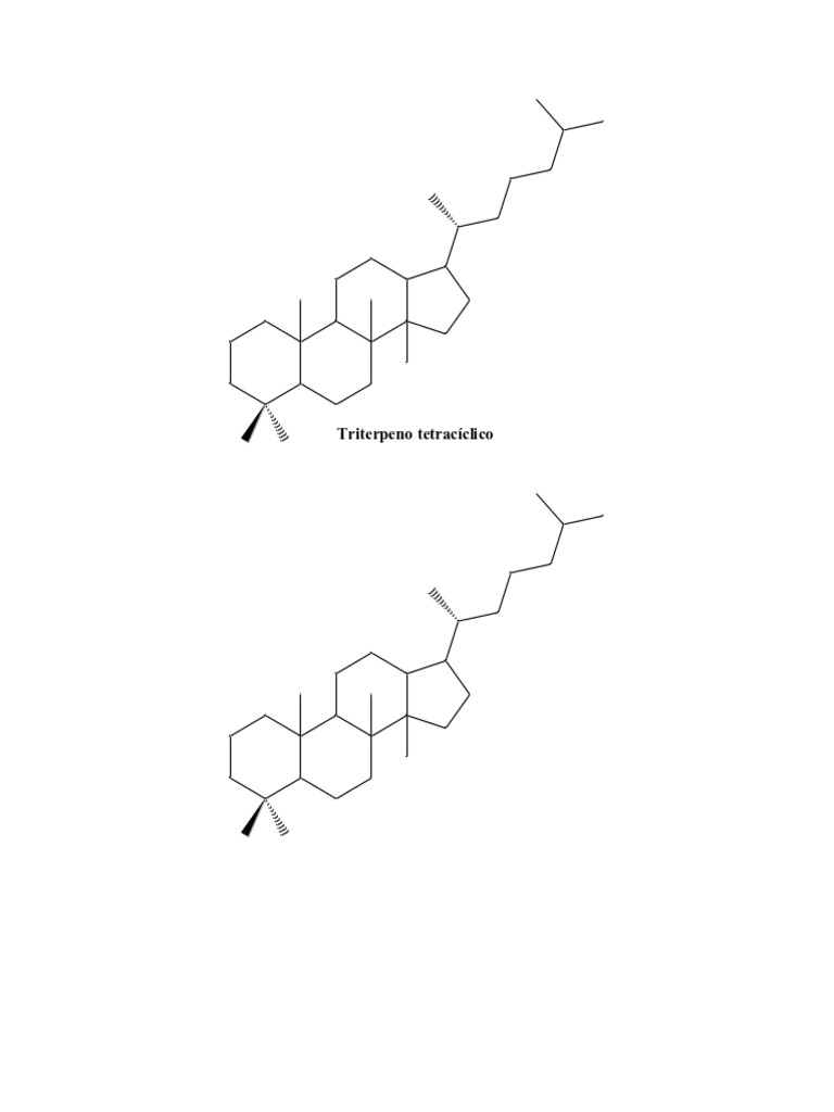 Moléculas | PDF