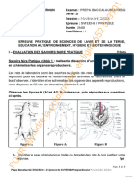 Epreuve Pratique 1 Svteehb Tled Prepa Exam 2023 2024