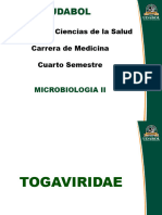 tema 6 Togaviridae Flaviviridae Buyanviridae Filoviridae Arenaviridae (1) - copia (1)