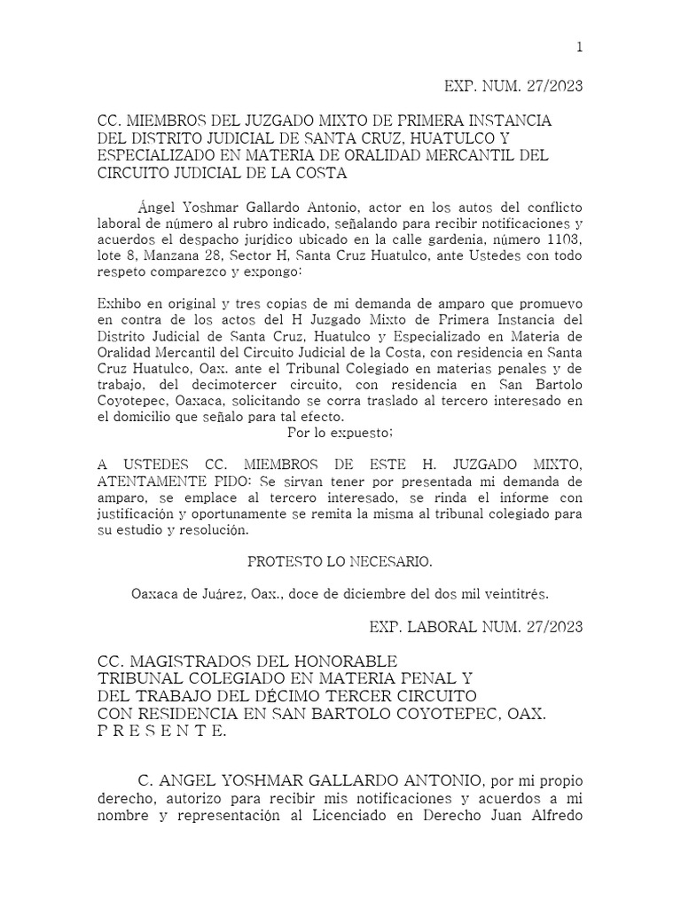 AMPARO DIRECTO | PDF | Caso de ley | Judicaturas