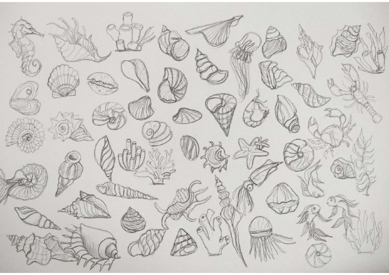 Coral and Sea Creatures | PDF