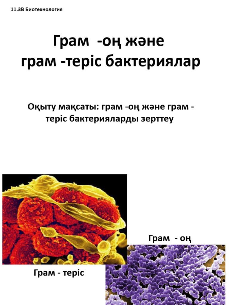 Итальяндық порно ертегісі