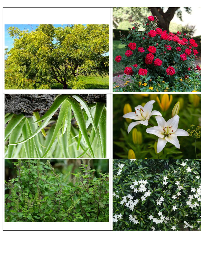 Project-page-1 | PDF