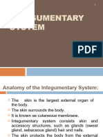 Intro To Integumentary system