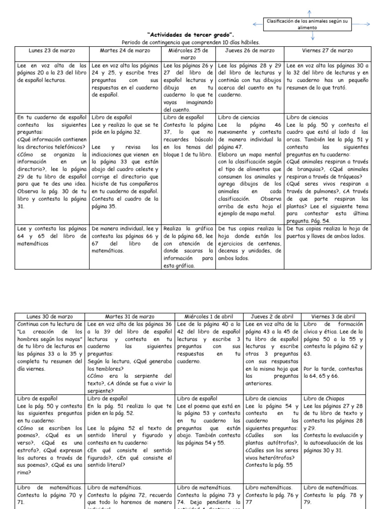 Actividades De Tercer Grado Pdf