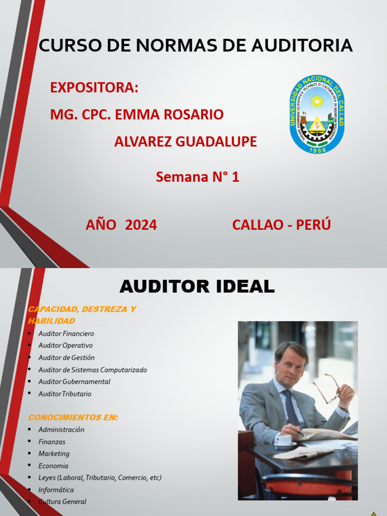 Curso de Normas de Auditoría 2024 | PDF | Auditoría | Estado financiero