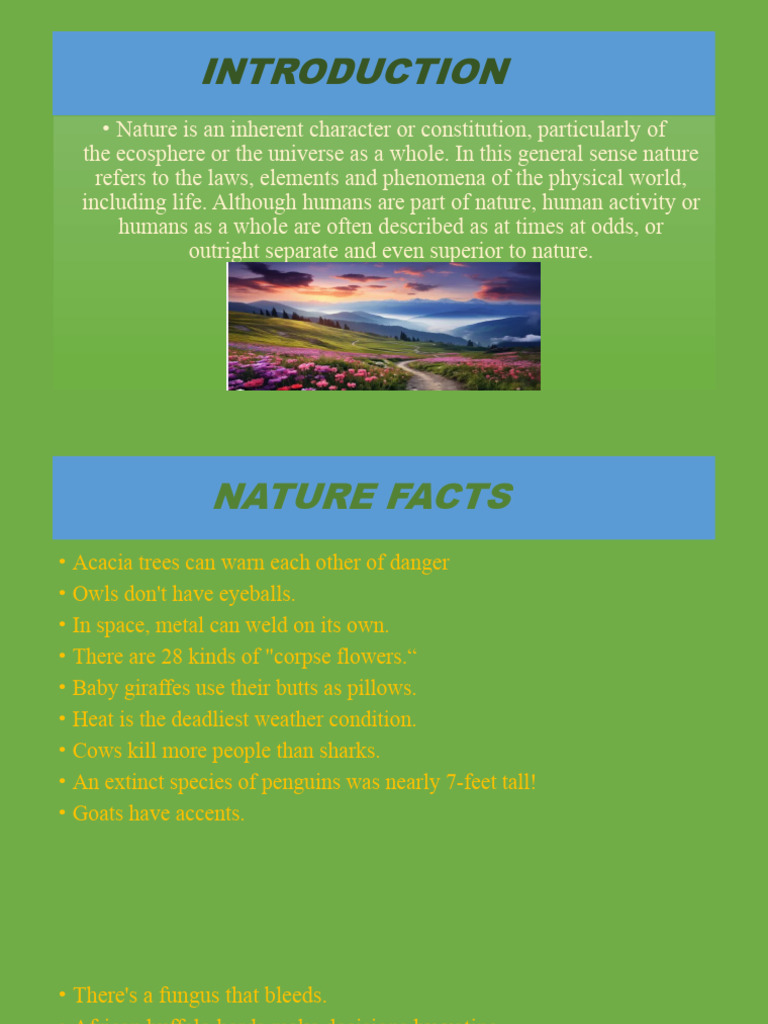 of Facts | PDF | Nature | Elephant