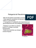 Patogenia Pseudomonas menos