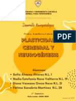 Plasticidad Cerebral y Neurogénesis