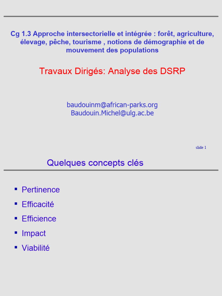 Analyse des DSRP : Pertinence et Efficacité | PDF | Économie