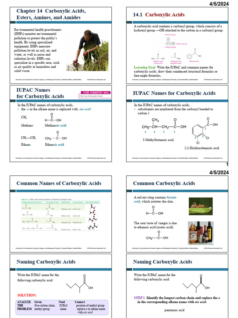 Chapter 14 Carboxylic Acids, Esters, Amines, and Amides 14.1 | PDF ...