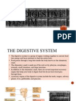 The Digestive SysTem