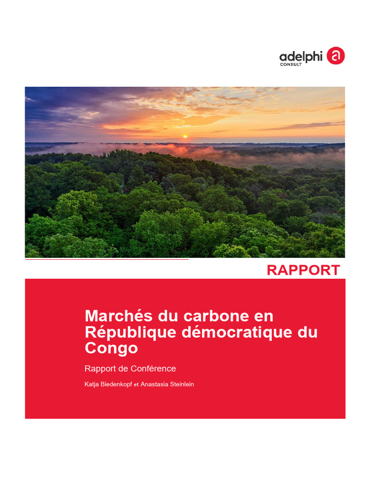 Marchés du carbone en RDC : enjeux et opportunités | PDF | Marché ...