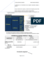 A 01 - Generalidades Del Sist Circulatorio, Corazon