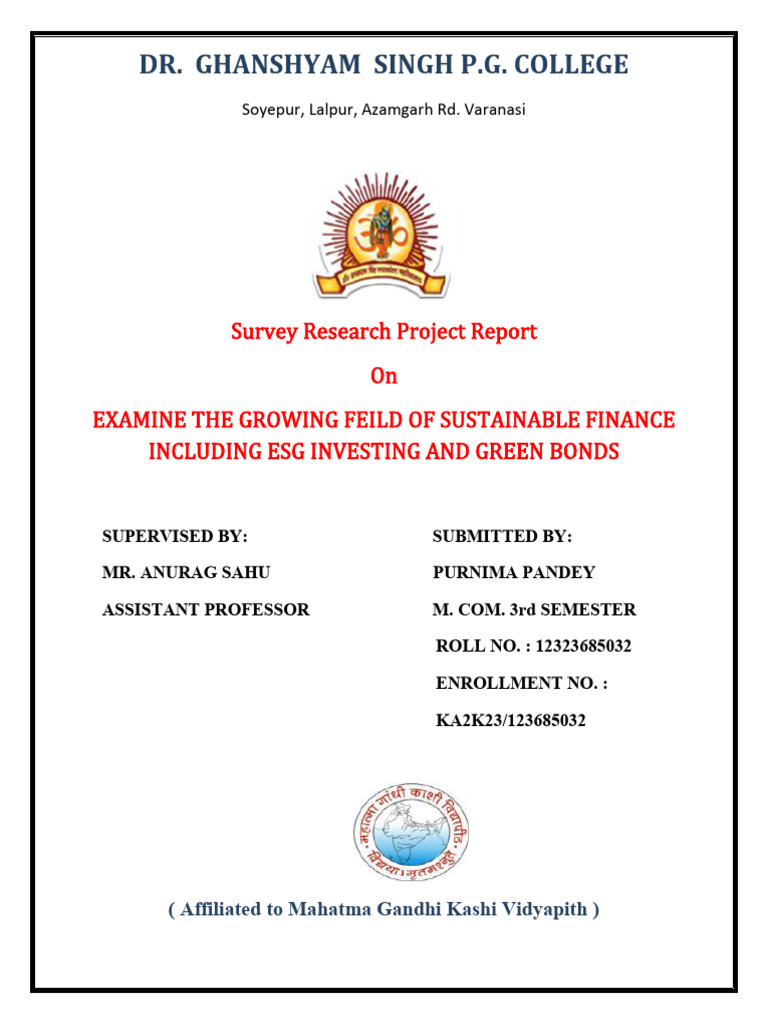Sustainable Finance PDF Sustainability Governance