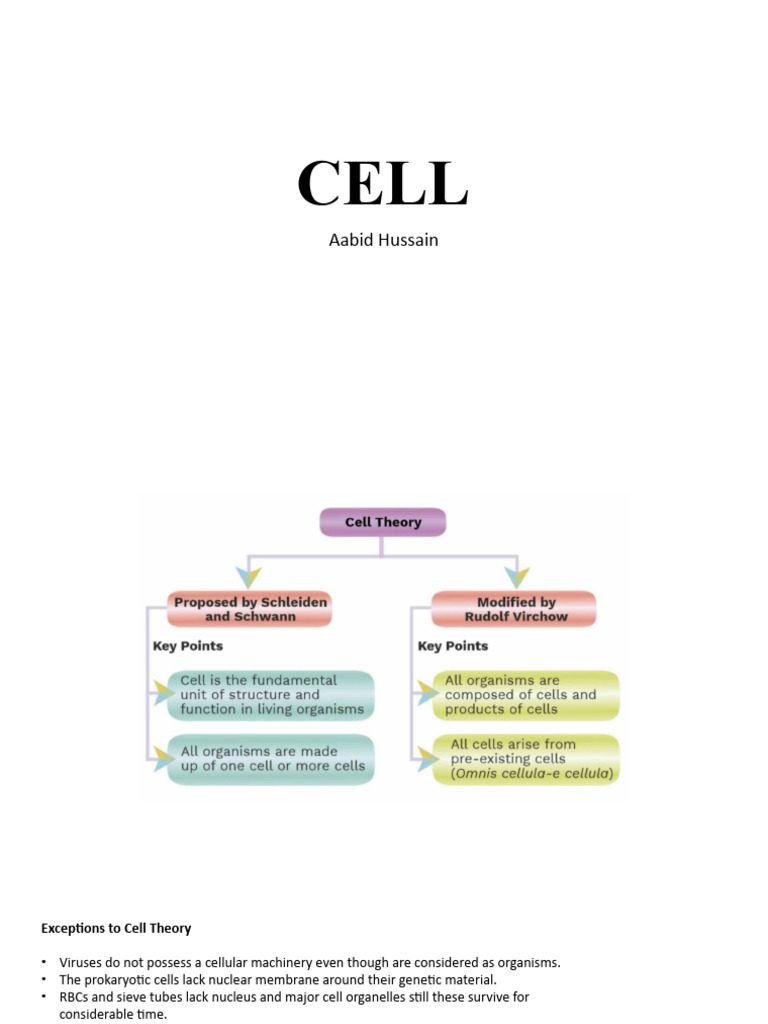 Cell-Structure and Function | PDF | Cell (Biology) | Cell Membrane