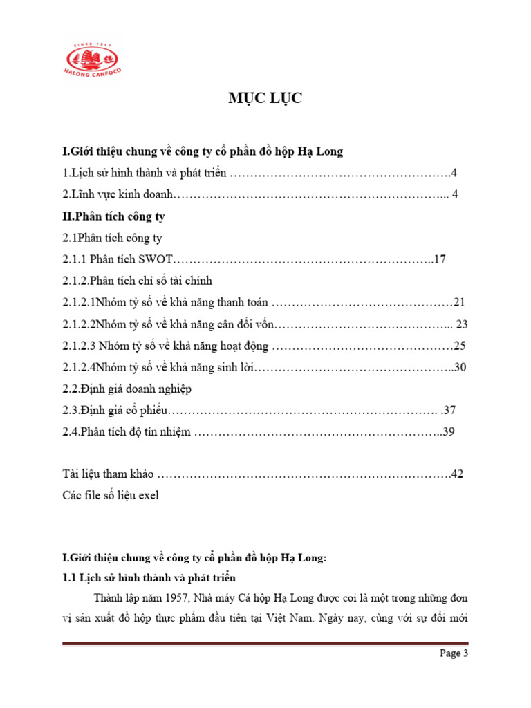 (123doc) Phan Tich Bao Cao Tai Chinh Cong Ty Co Phan Do Hop Ha Long | PDF
